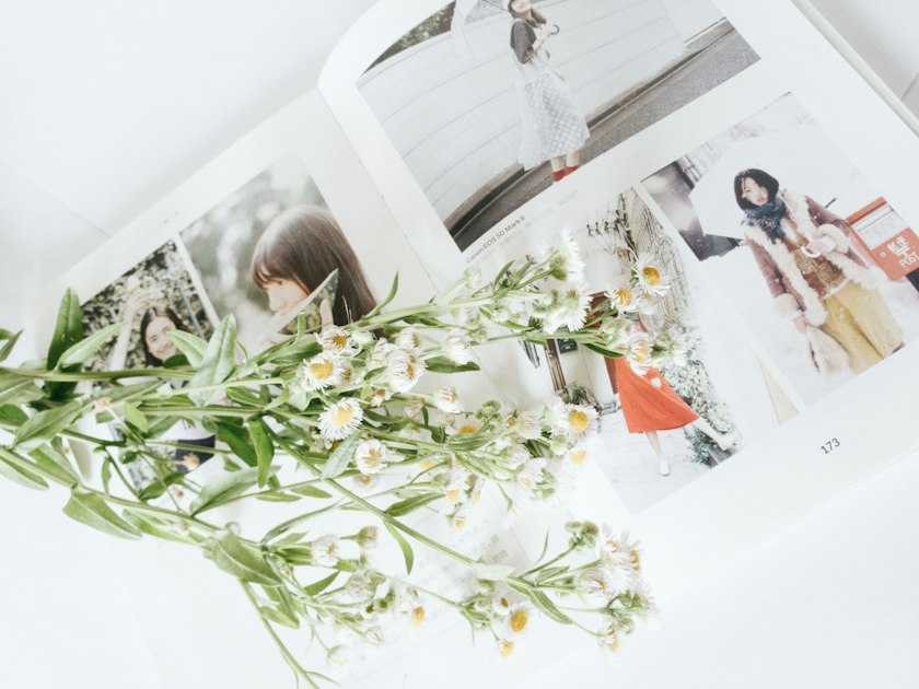 Editing Photos Like a Pro